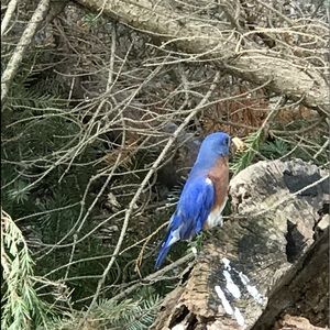 Meet your Posher, Anisa